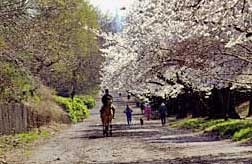 NYC One Day Itineraries NYC One Day Itineraries