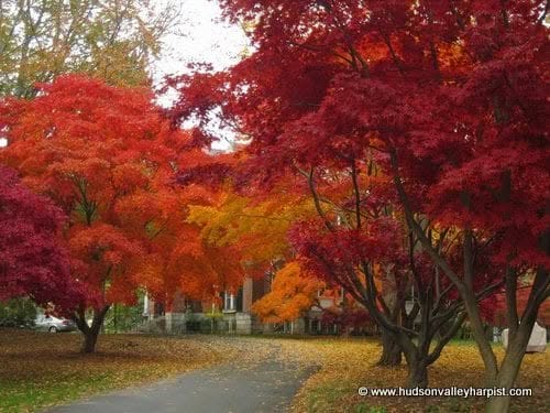 Things to do in New York in Fall