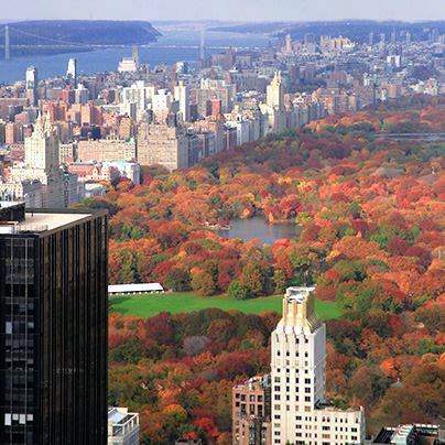 October Half Price Tickets NYC