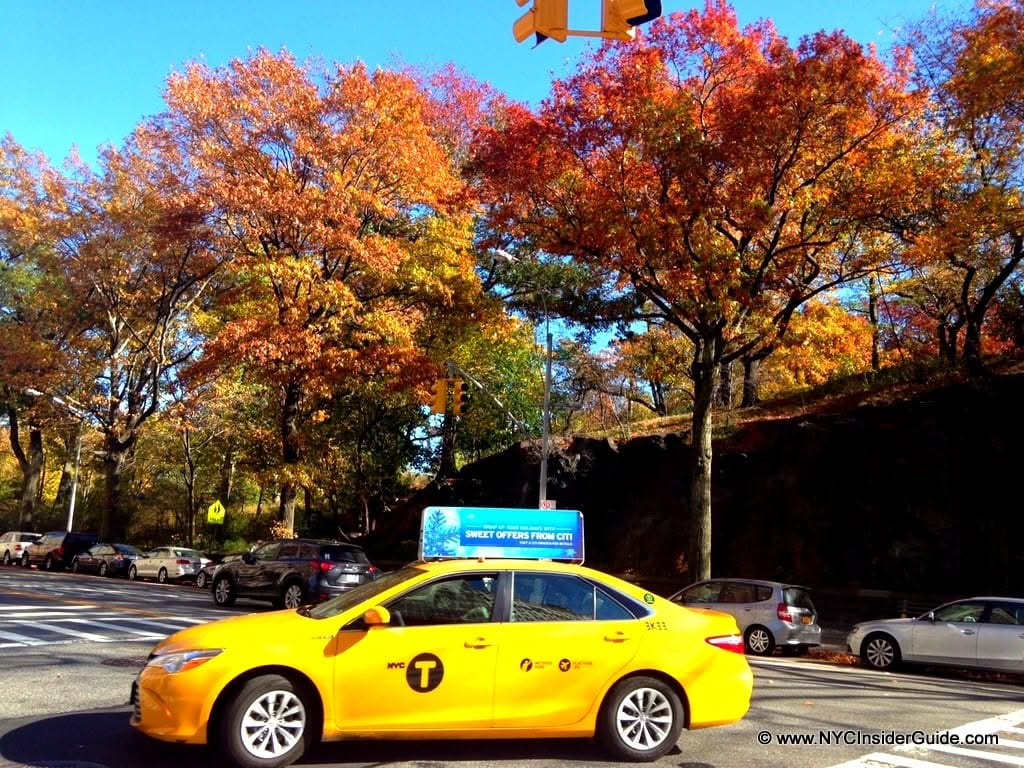 Things To Do in New York in November