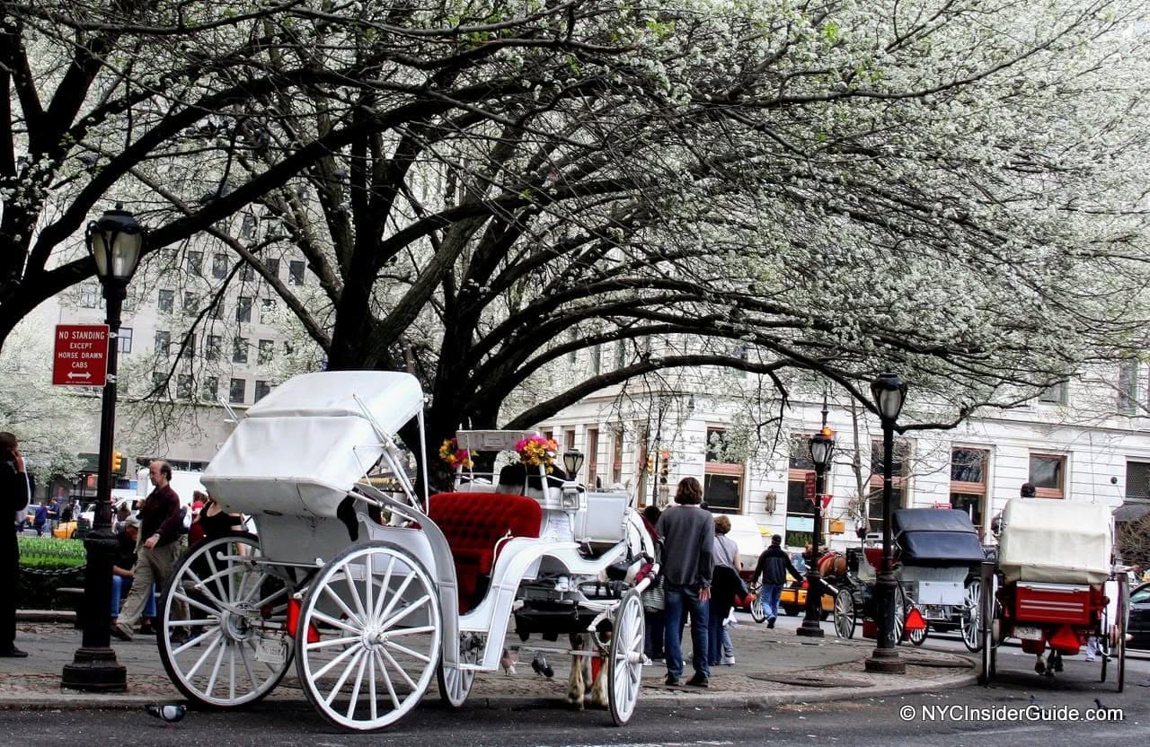 Central Park Carriage Ride & Tavern on the Green Central Park Carriage Ride & Tavern on the Green